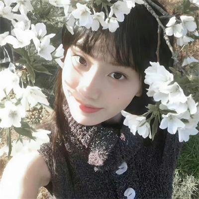 太阳花